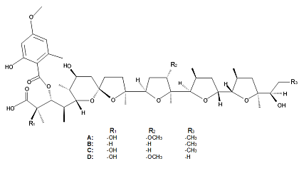 Cationomycin